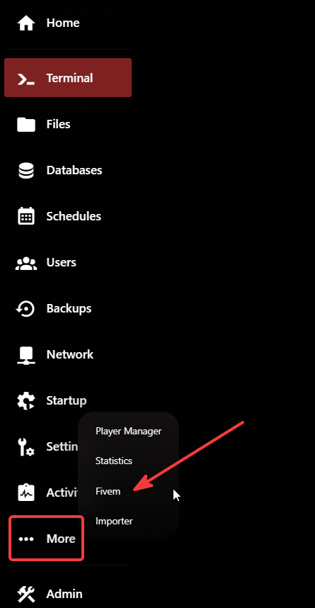 More → FiveM menu in the game panel